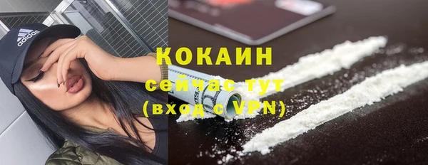 стаф Белоозёрский