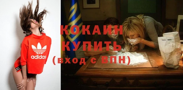 бошки Белокуриха