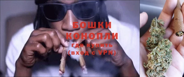 бошки Белокуриха