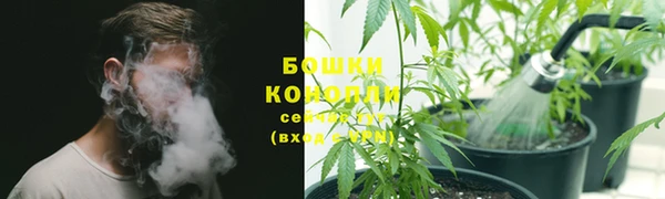 бошки Белокуриха