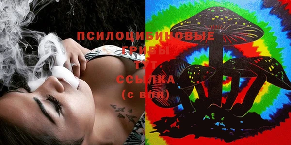 стаф Белоозёрский