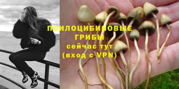 каннабис Беломорск