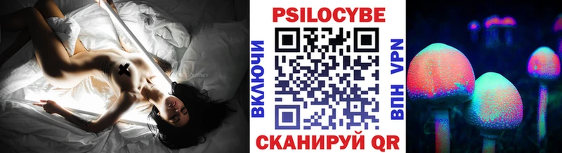 кракен сайт купить наркотики цена Ставрополь Псилоцибиновые грибы Psilocybine cubensis